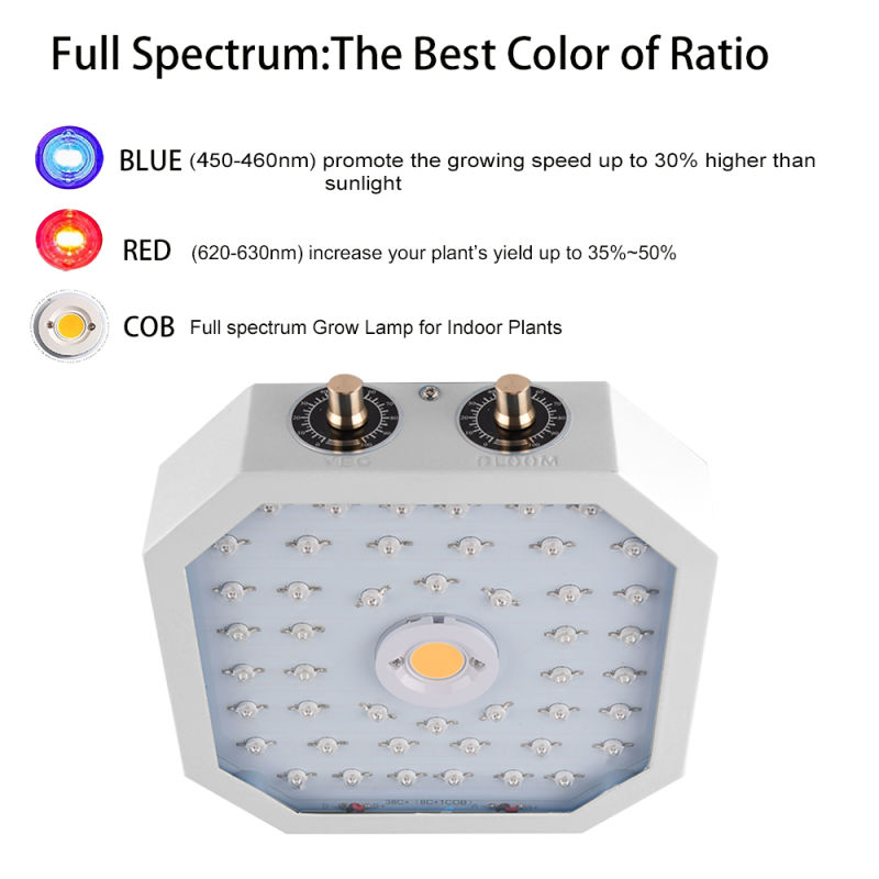 1500W Full Spectrum COB Indoor LED Plants Hydroponics Grow Lights for Indoor Plant