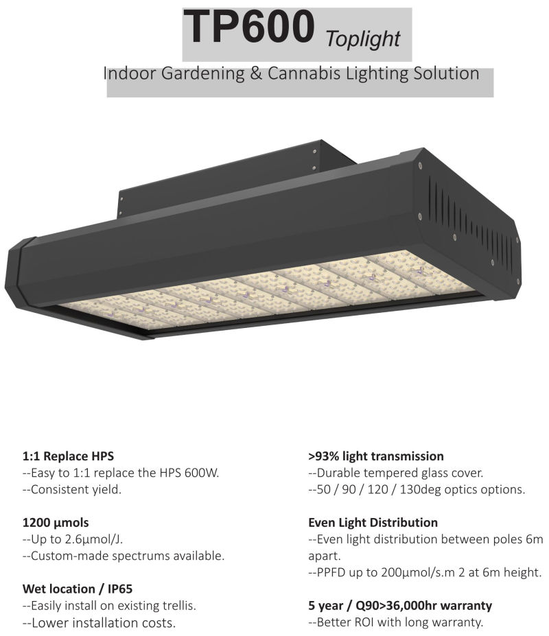 LED Grow Light for Indoor Greenhouse Plants Growing