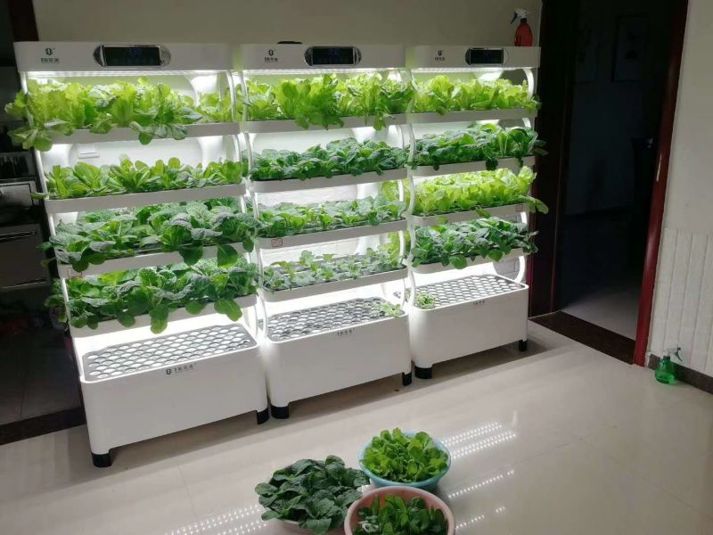 China Factory Supplier Indoor LED Hydroponic Soilless Cultivator