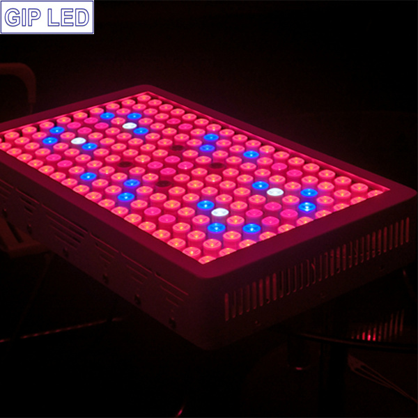 900W LED Grow Light Full Spectrum for Indoor Plants Flowers