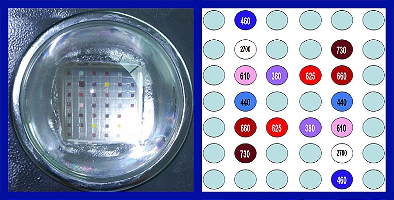 1000W Veg/Flowering Switches Full Spectrum COB LED Grow Lights