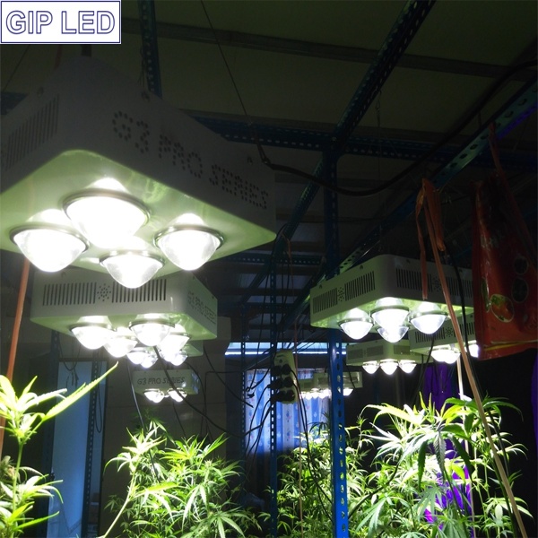 1000W Veg/Flowering Switches Full Spectrum COB LED Grow Lights