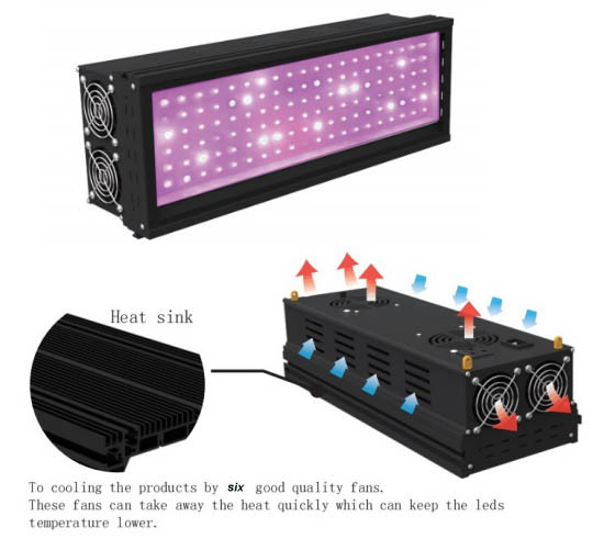 Hydroponic Full Spectrum LED Grow Light Plant