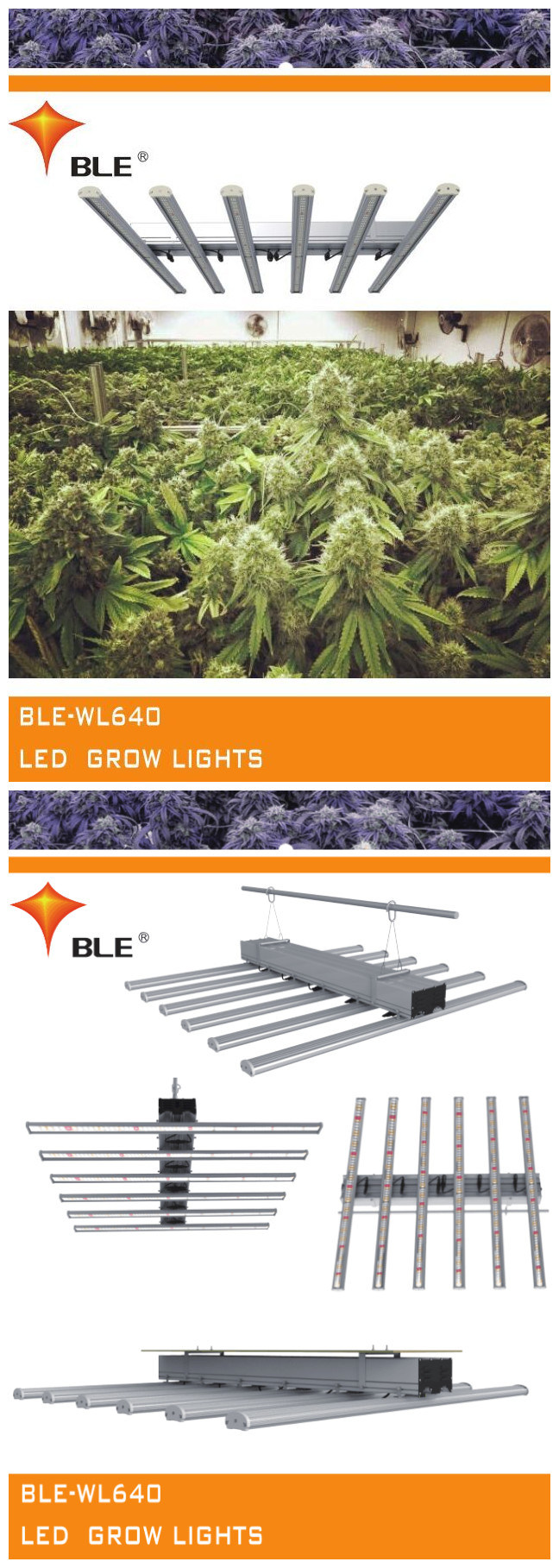 BLE Agricultural Lighting Full Spectrum LED Grow Light for Commercial Horticulture