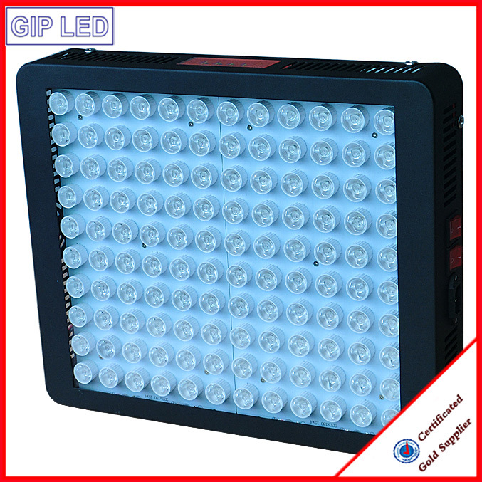 Professional LED Grow Light 600W for Plant Grow Best/Fast