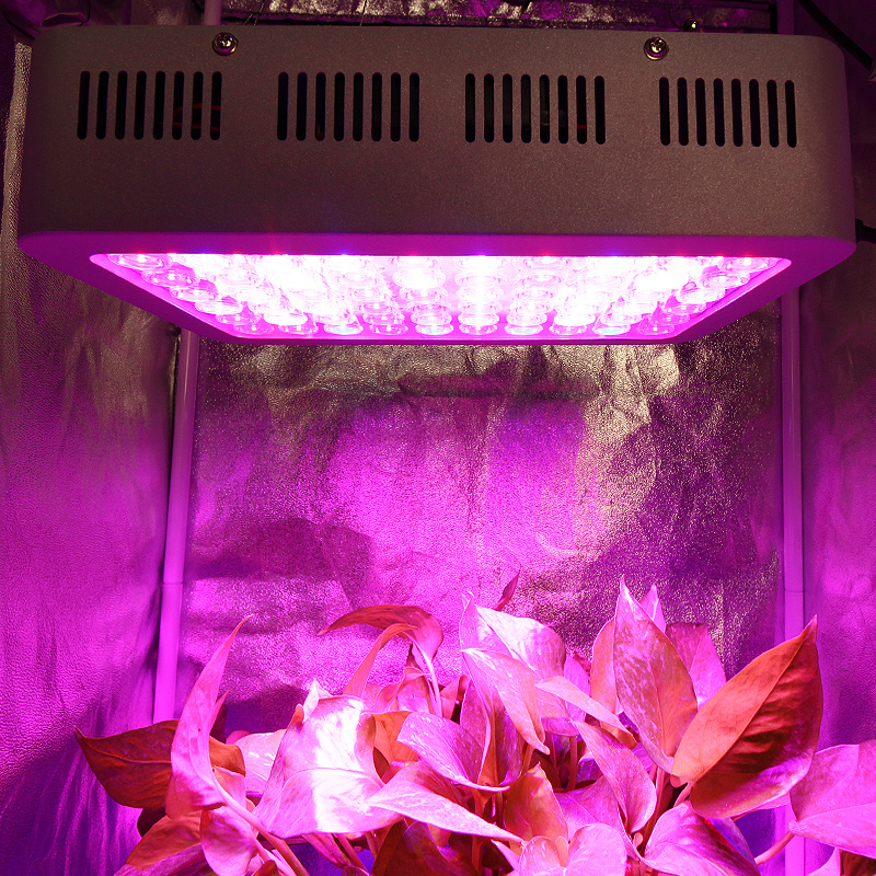 LED Grow Panel 6000W High Power LED Grow Light