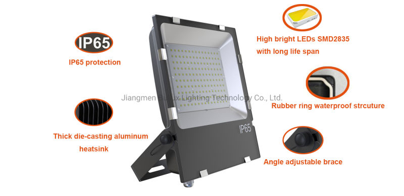 80W Tunnel Lighting Sport Lighting Billboard Lighting LED Flood Light