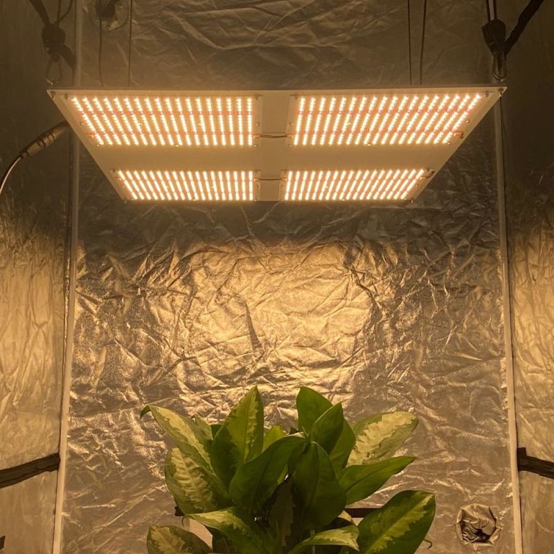 LED Bar Quantum UV IR Grow Light 480W Full Spectrum for Plant Sale