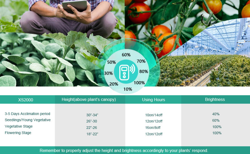 Full Spectrum Planting LED Grow Light for Greenhouse Plants