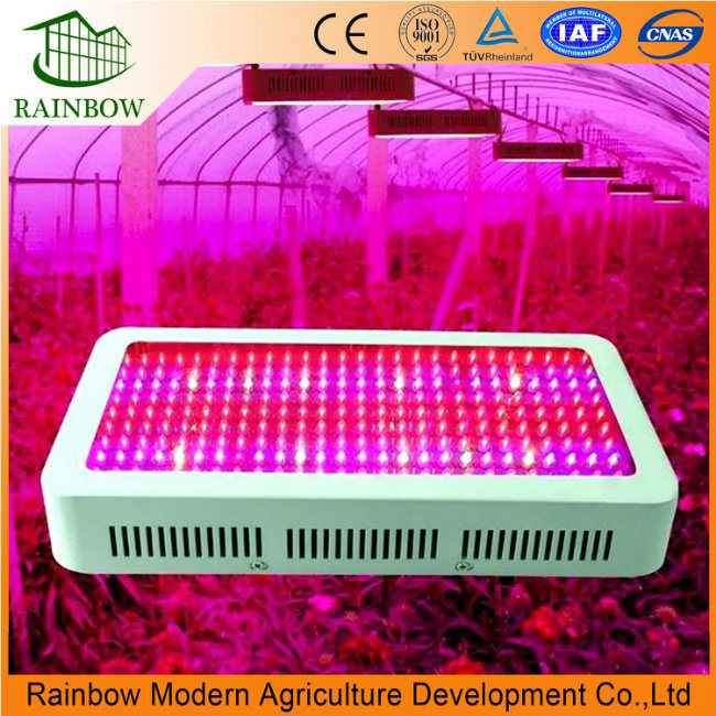 300W Flower Plant LED Grow Lights with Factory Price