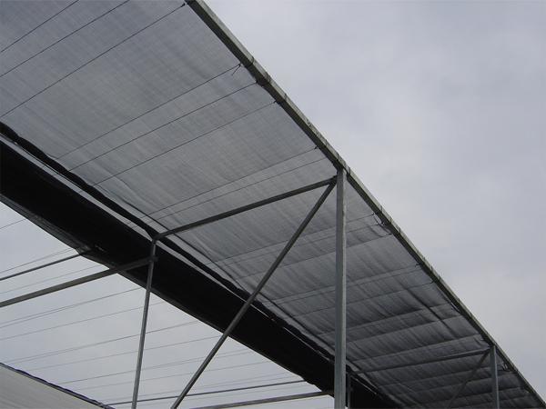 UV Treated Plastic Film Greenhouse for Tomato Planting