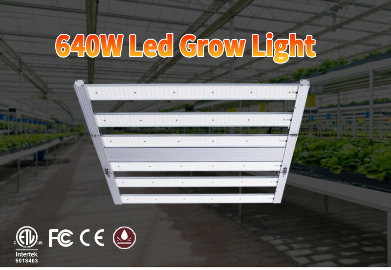 1000W Miedical 3X3 Cool White USB Full De HPS Spectrum LED Grow Light ETL Quantum Board