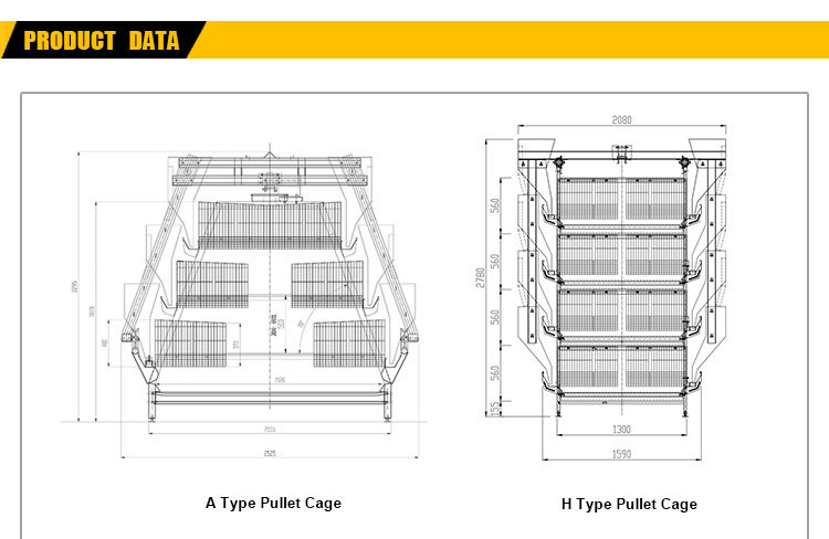 H Type Automatic Baby Chicks Farming Cage for Pullet Farms