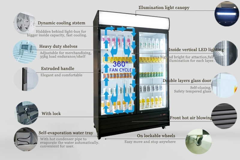 Double Door Refrigerator Cooler 700L Fridge for Supermarket with Removable Shelf Cooling Fridge Energy Saving Fridge