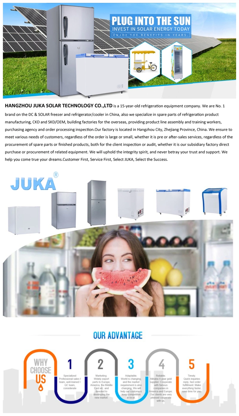 Double Doors with Top Freezer Room 295 Litters Solar Refrigerator with DC Compressor