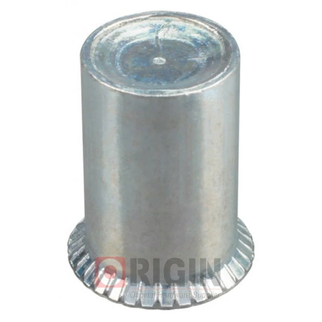 Countersunk Head Round Body Close End Threaded Insert/Rivet Nut