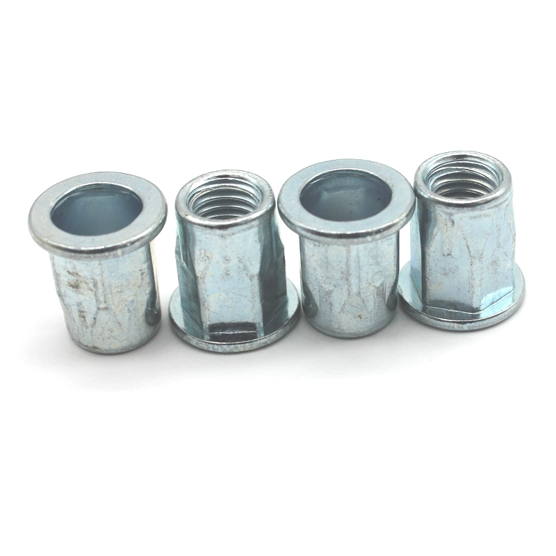 Stainless Steel Reduced Head Full Hex Body Rivet Nut