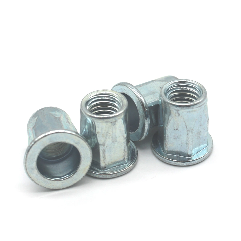 Stainless Steel Reduced Head Full Hex Body Rivet Nut