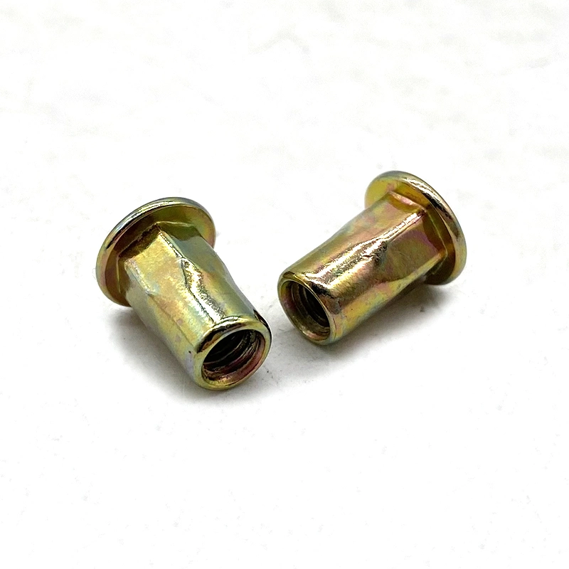 Flat Head Hex Body Aluminium Sheet Metal Carbon Steel Brass Cylindrical Rivet Nut