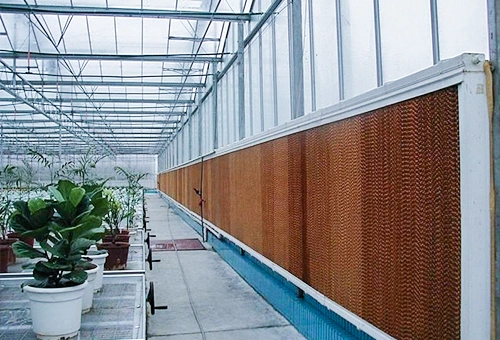 Water/Honeycomb/Curtain Wet Cooling Pad for Swine Farm