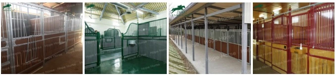 China Permanent Hot Dipped Galvanized Horse Stable Panels