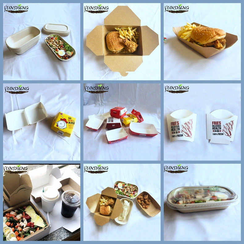 Factory Custom Made Cardboard Carry out Containers for Hot Food Noodles Salads Rice