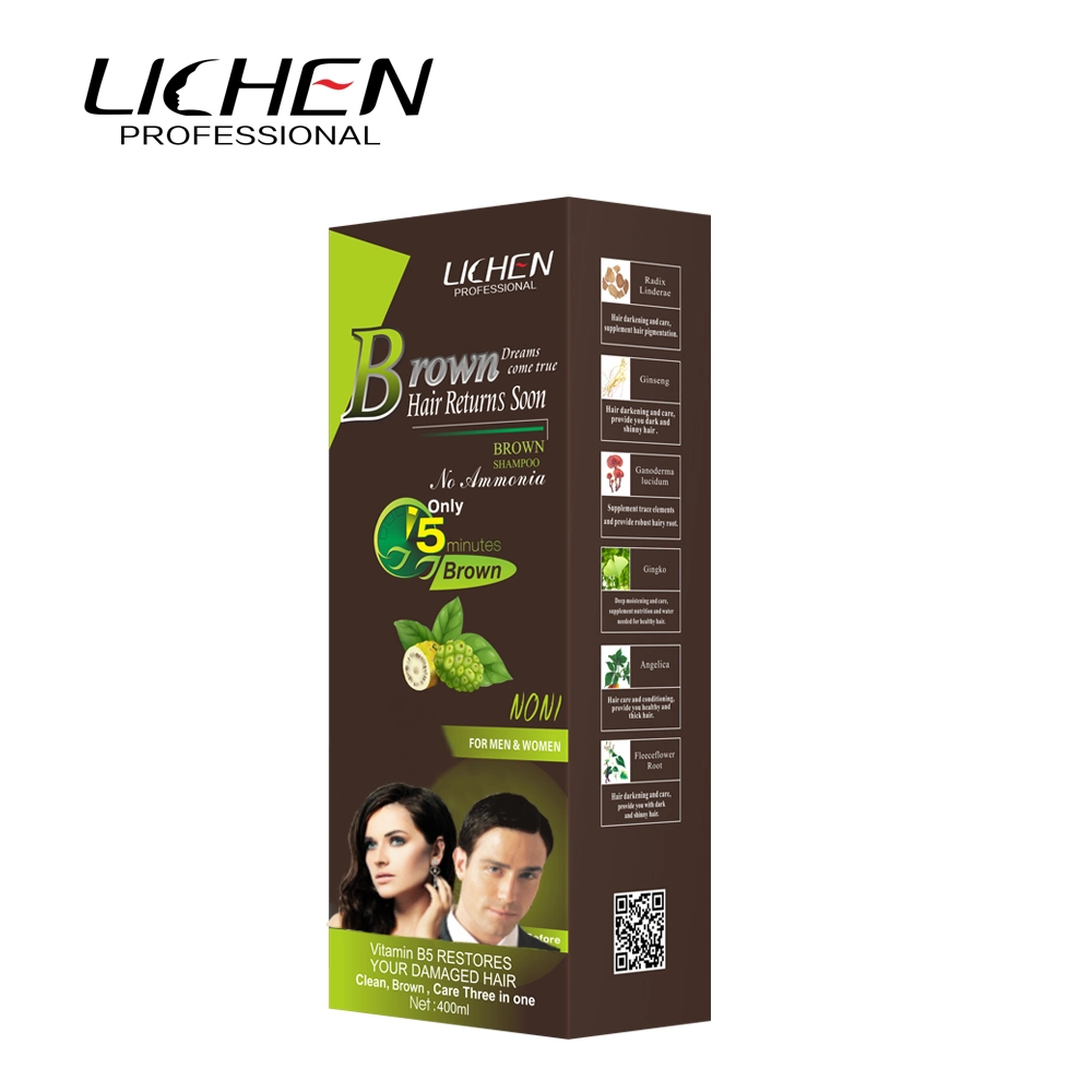 OEM Private Label Natural Ginger Brown Hair Color Shampoo for Grey Hair