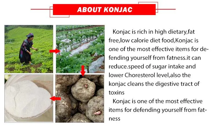 Customized Wholesale Dried Konjac Noodles Low Fat Height Protein Konjac Food