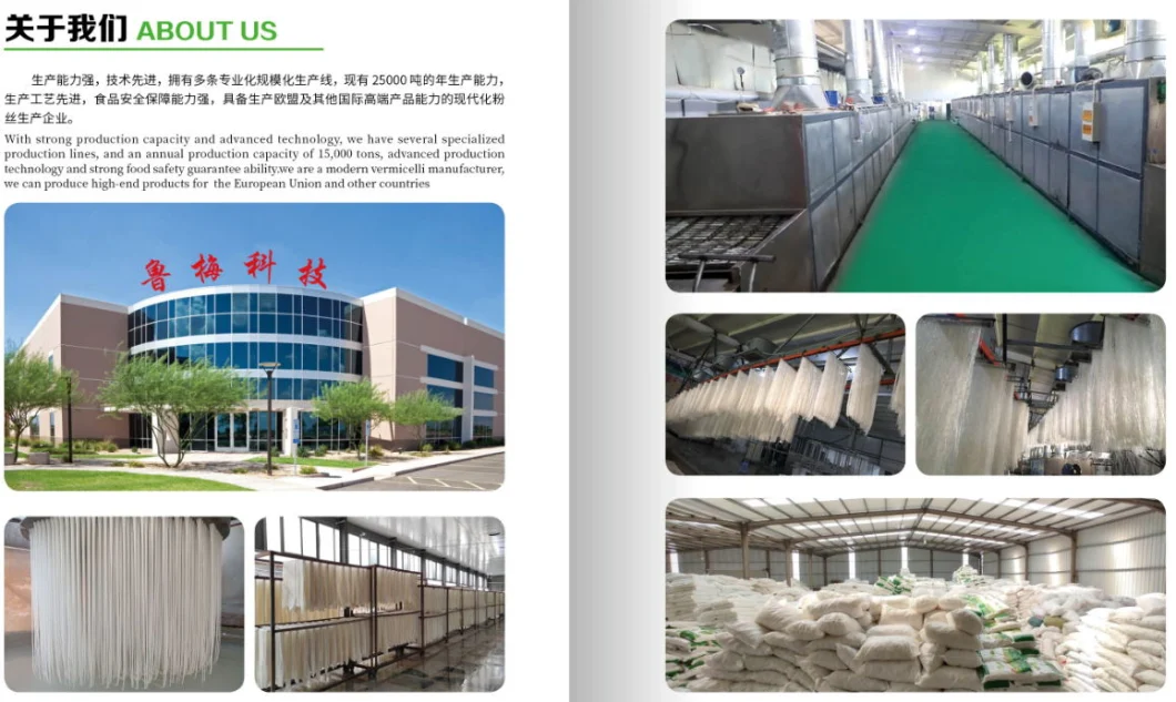 Price Wholesale Chinesedried Glass Noodle Pea Mung Bean Vermicelli Longkou Vermicelli Noodles