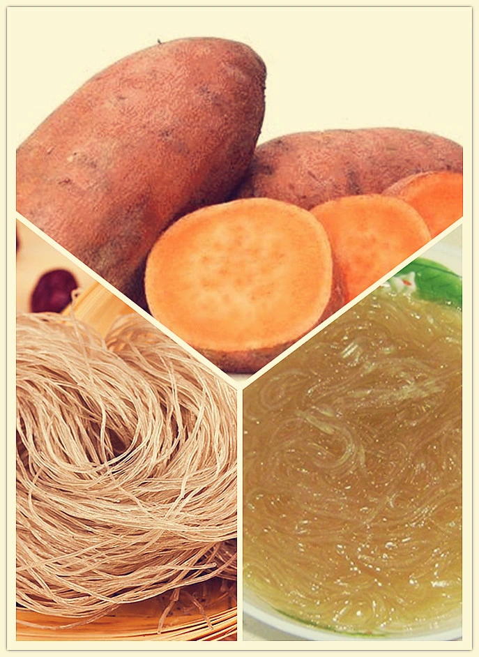 Dried Sweet Potatoes Vermicelli Fujian Noodles Instead of Rice