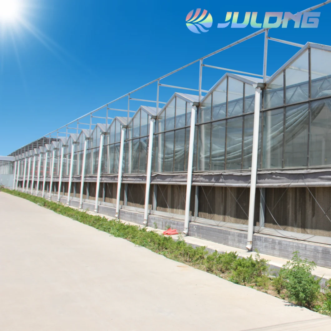 China's High Quality Glass Wide Span Glass Greenhouse Panels