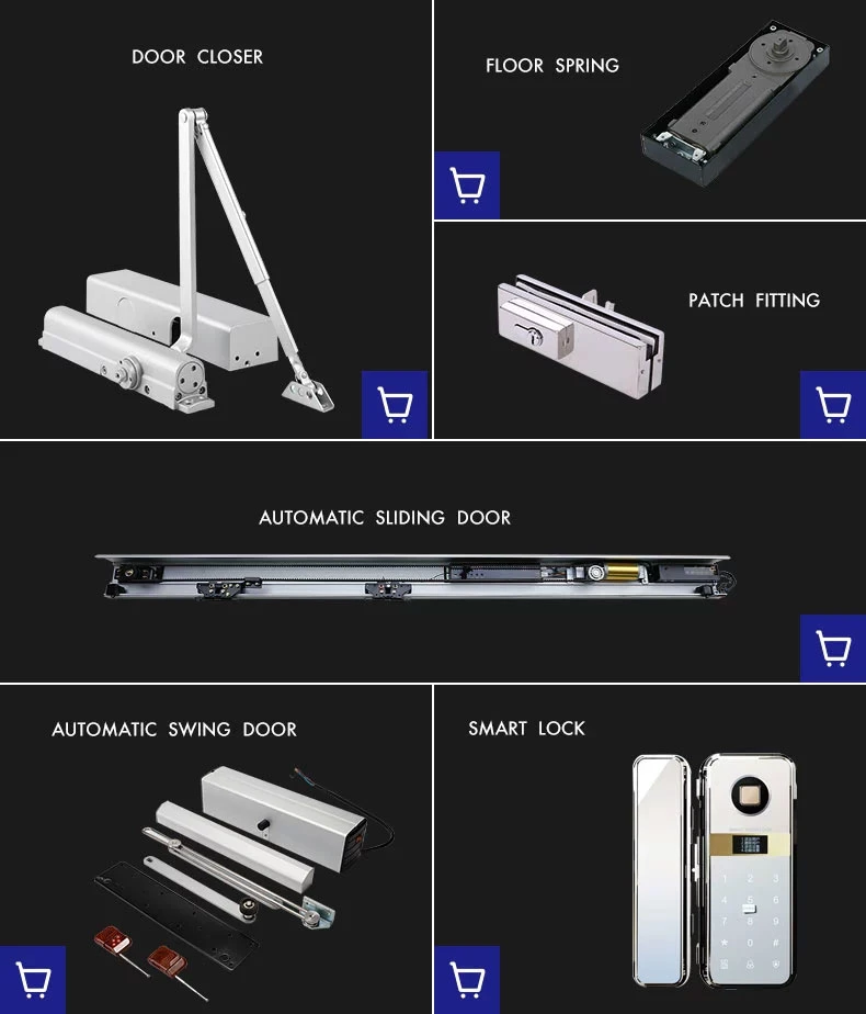 Double Cylinde Automatic Floor Spring Hinge for Glass Fitting HD8000