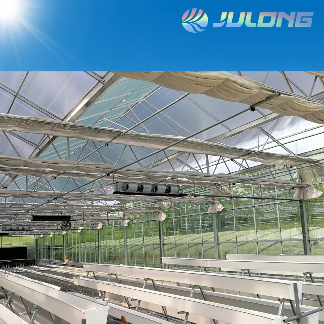 China's High Quality Glass Wide Span Glass Greenhouse Panels