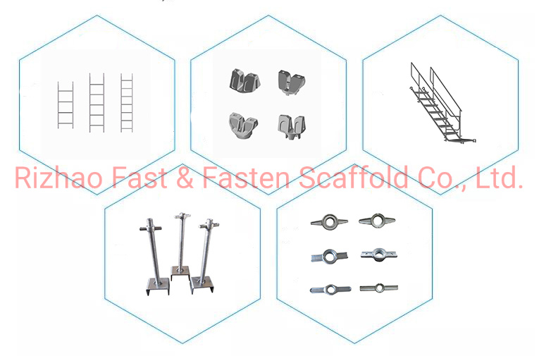 OEM Casting and Forging Wing Formwork Nut in Hot Sale