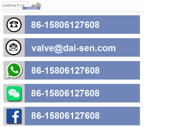 Locked Threaded Soft Sealing Cast Iron Gate Valve Z15X-16QC