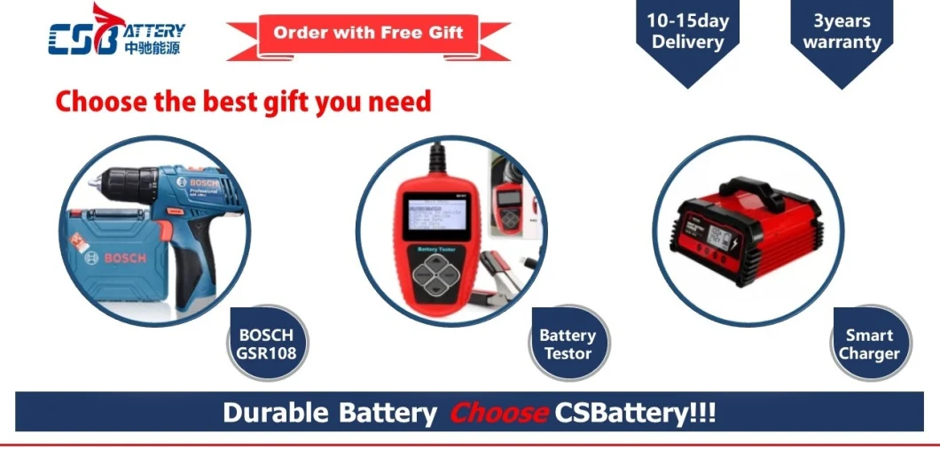 Csbattery Sealed Storage SLA Battery for Railway/Buggies/Traction-Forklift/Anti-Theft-and-GPS/Amy