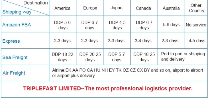 Fast Amazon Shipping Train Freight Rail to Europe France