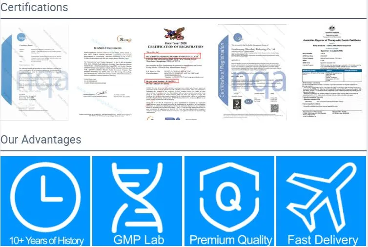 Nylon Flocked Nasopharyngeal /Buccal/Throat Swab Sterile Sampling Kit Specimen Collection Nasal Swab Sterile Test Swab