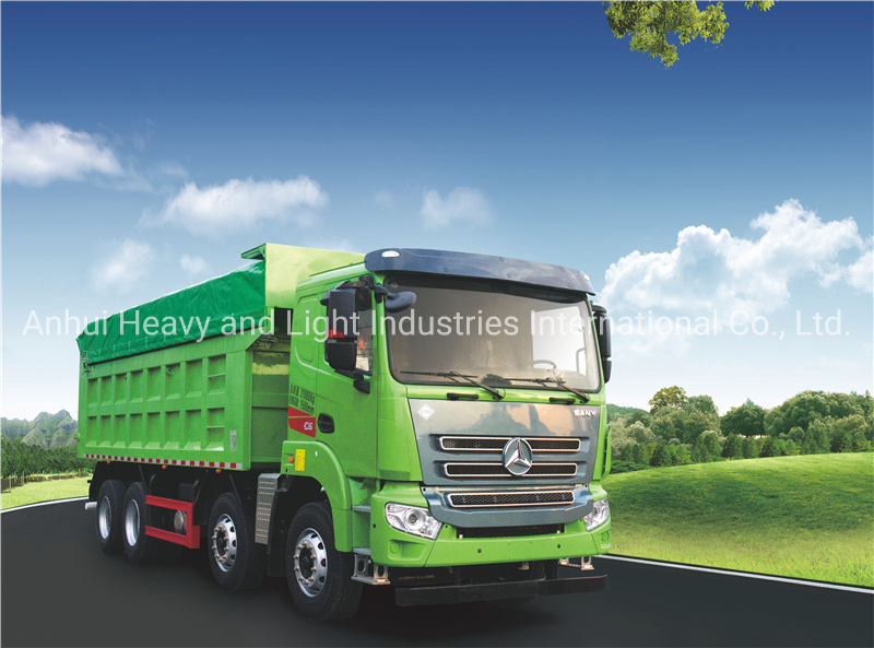 Syz318c-8r Lower Price China Heavy Duty  10 Wheels Dump  Truck/Heavy  Truck for Sale