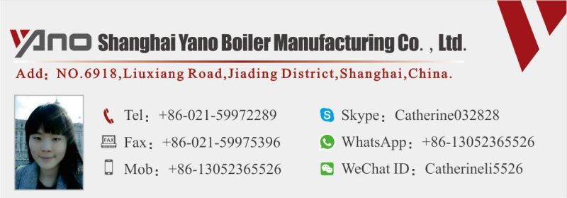 Furniture Oil Gas Fired Steam Boiler Drying