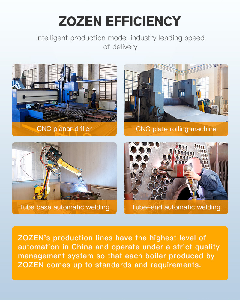 Marsh Gas Fired Boiler Agent for Pig Farm