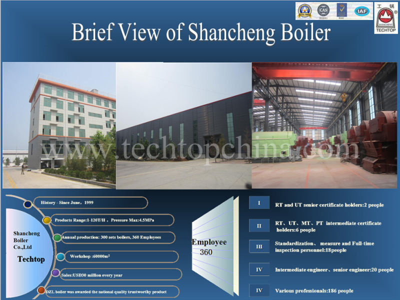 Wns Industrial Oil Boiler Automatic Oil Boiler