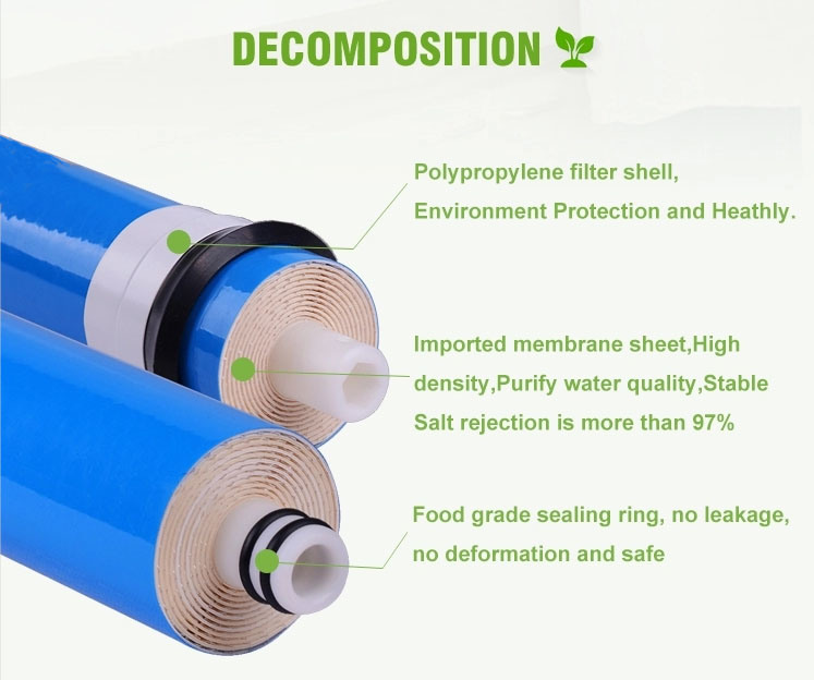 Gt Membrane OEM Commercial RO Water Purifier Water Filter Factory