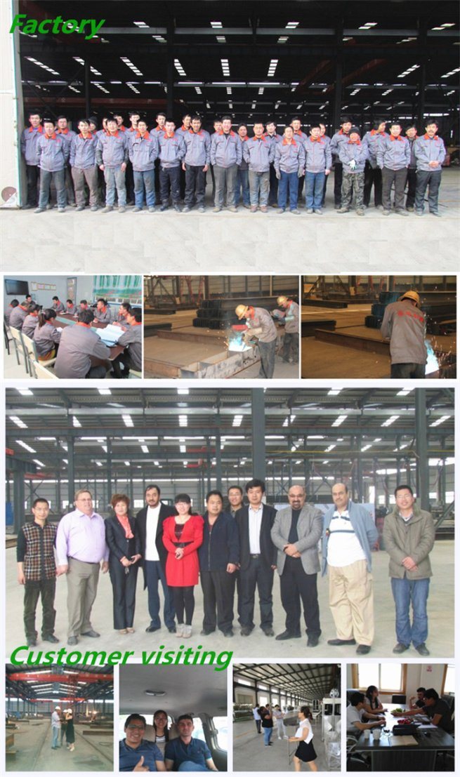Steel Structure Aircraft Hangars for Steel Commercial Buildings