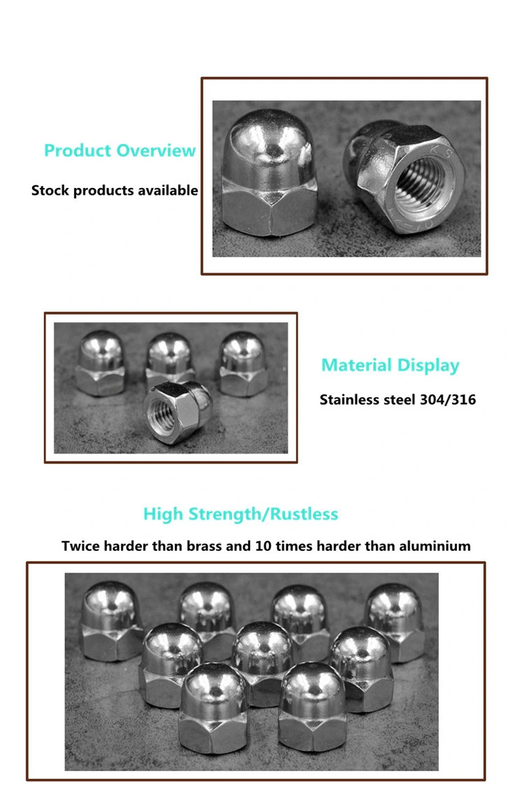 Stainless Steel Hex Domed Cap Nuts for Bolt Screws Fastener M10 Standard DIN 1587