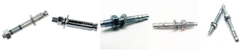 Ss201 / Ss202 / Ss667 / SS304 / SS316 Stainless Steel Polishing / Phosphated Wedge Anchor Bolt /Chemical Anchor Bolt