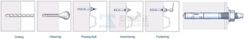 Stainless Steel Wedge Anchor/Through Bolt/Expansion Bolt