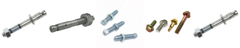 Ss201 / Ss202 / Ss667 / SS304 / SS316 Stainless Steel Polishing / Phosphated Wedge Anchor Bolt /Chemical Anchor Bolt