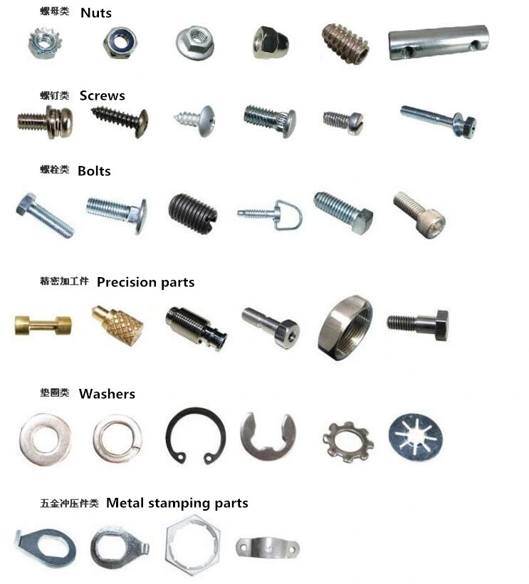 Fastener Stainless Steel Anchor/ Expansion Bolt/Sleeve Anchors