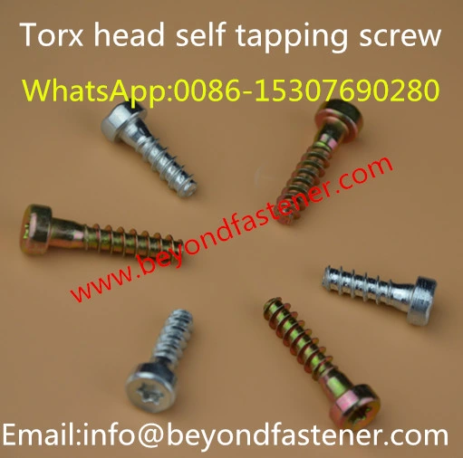 Screw/Bolts/Taptite Screw/Fastener/Terminal Cover Bolts